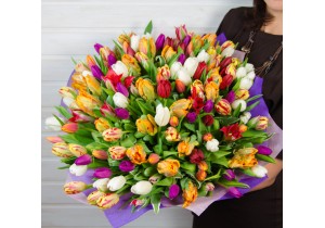 Большой букет тюльпанов