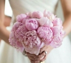 Нежно-розовый свадебный букет из пионов