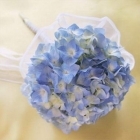 Голубой свадебный букет из гортензии