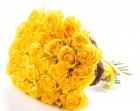 Букет 29 желтых роз