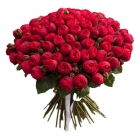 Букет 55 красных пионовидных роз