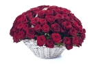 Букет бордовых роз в корзине