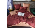 Комплект постельного белья Евро  Сатин Роял Тенсель на резинке TSR003
