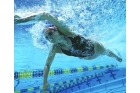 Индивидуальные занятия по плаванию для взрослых 