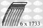 Поликлиновой ремень арт: SASIC 1770105
