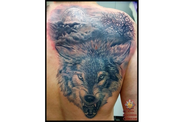 Тату волка на плече значение | + фото татуировок | Идеи 