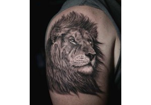 Эскиз татуировки лев