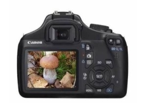 Скупка фотоаппаратов  Canon