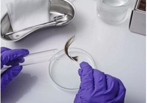 Тест ДНК по волосам