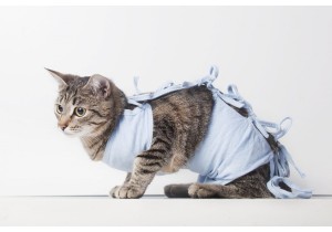 Стерилизация кошки (перевязка труб матки)
