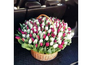 Букет тюльпанов в корзине