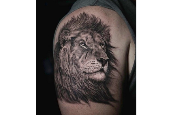 Эскиз татуировки лев