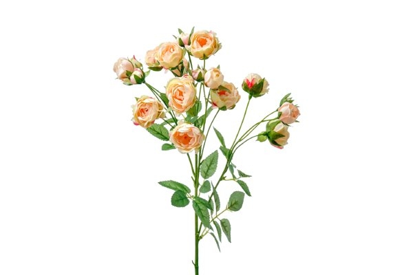 Кустовые розы 60 см