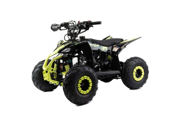 Квадроцикл ATV Motoland 110 RAPTOR
