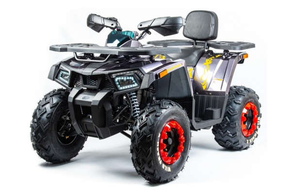 Квадроцикл ATV Motoland 200 WILD TRACK X