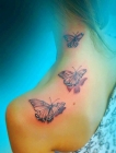 Эскизы татуировки с бабочкой