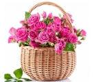 Букет кустовых розовых роз в корзине