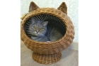 Плетеные домики для кошек