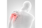 Ультразвуковое исследование плечевых суставов