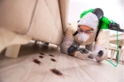 Уничтожение насекомых дома