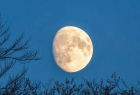 Приворот на фото на растущую луну