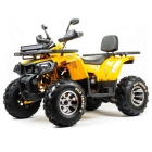 Квадроцикл ATV Motoland 200 WILD TRACK X PRO (баланс.вал)