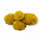 Стабилизированный мох желтый