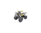  Квадроцикл ATV Motoland 125 Fox