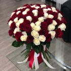 Большой букет красно белых роз