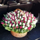 Букет тюльпанов в корзине