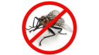 Борьба с комнатными мухами