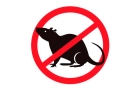 Уничтожение грызунов крыс и мышей