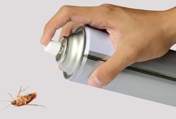 Народные средства борьбы с тараканами
