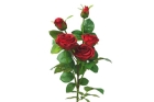 Кустовые розы 40 см